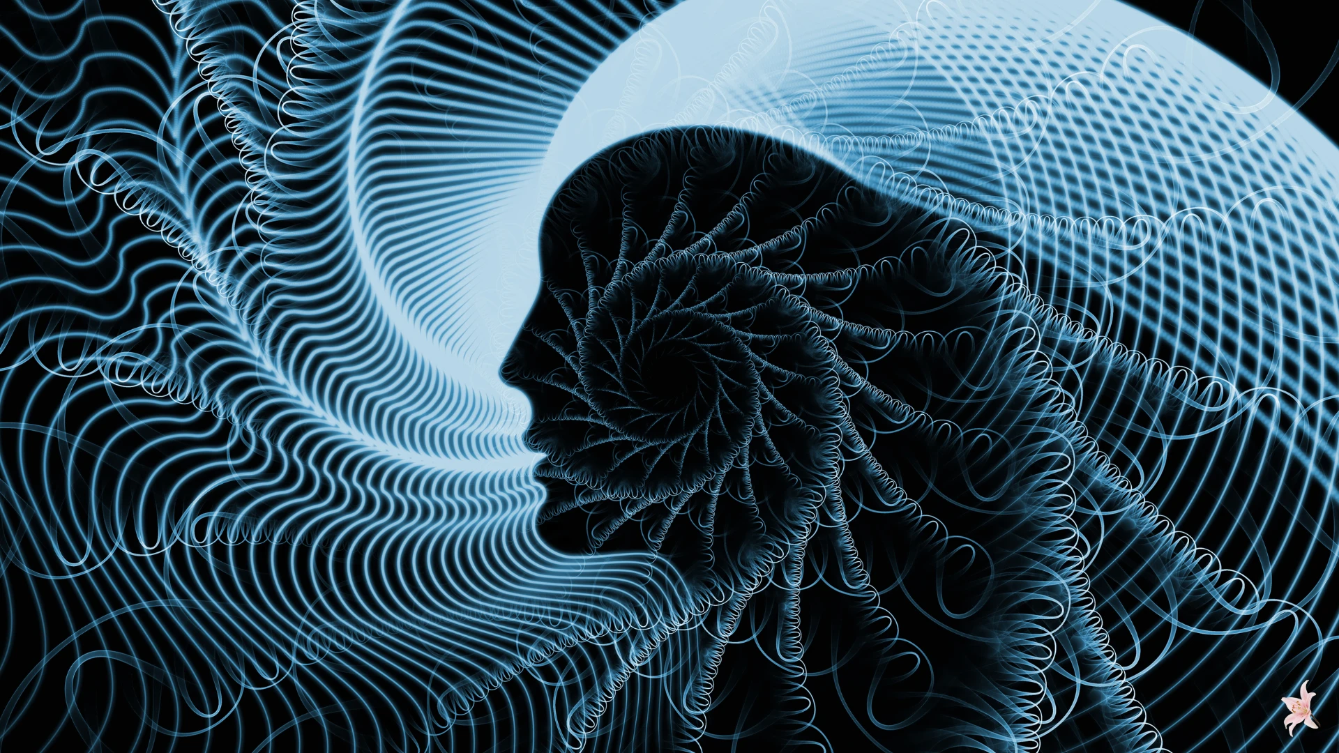 Reprogrammer l'esprit, éveiller l'âme